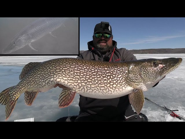 The Biggest Pike of my LIFE! | What a GIANT! - YouTube