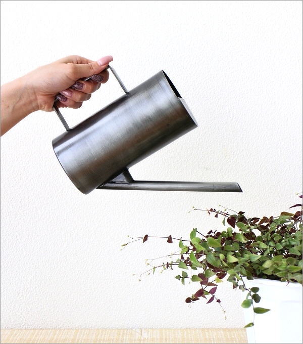 楽天市場】水差し 観葉植物 じょうろ おしゃれ ピッチャー