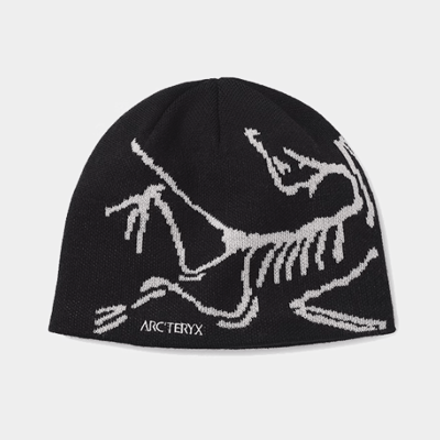 ARC'TERYX ニットキャップ ビーニー Bird Head Toque｜MIRISE(ミライズ