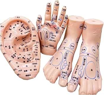 71NEwTEjopL._AC_UF350,