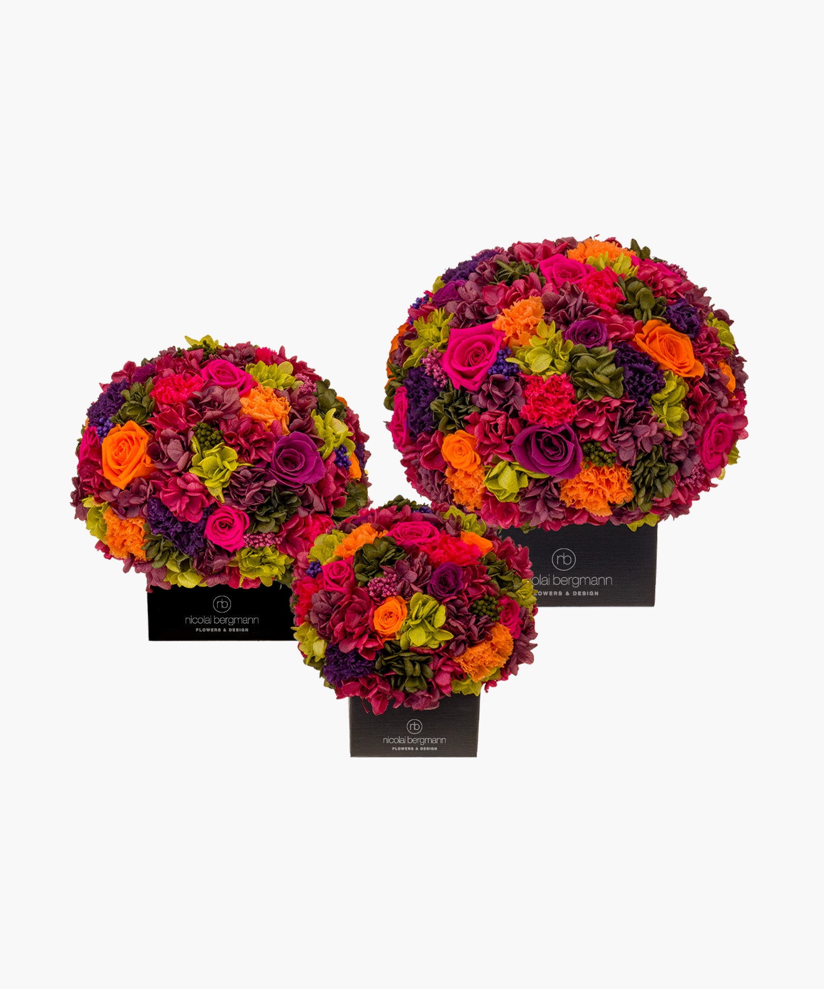 102015102_03.jpg?v=1723022281&