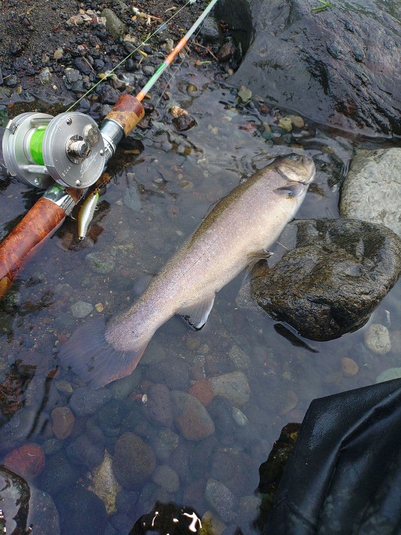 パワフルワーカー グラッソ 花梨グリップセット 渓流 ルアー